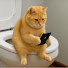 r0dr_wqsv64-channel-avatar-Neko Kuni