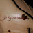 @MennaMmm-r8q