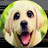 @User-p5i9e