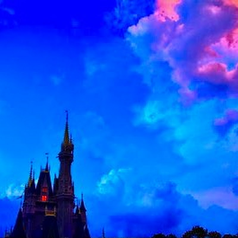 Theme Park Dreamscapes