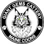 MAINE COON JUNGLE logo