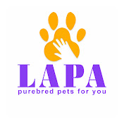 Lapa.shop: Pedigree Pets for You