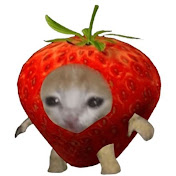 strawbeves