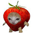 MRsYxp5UtXk-channel-avatar-strawbeves