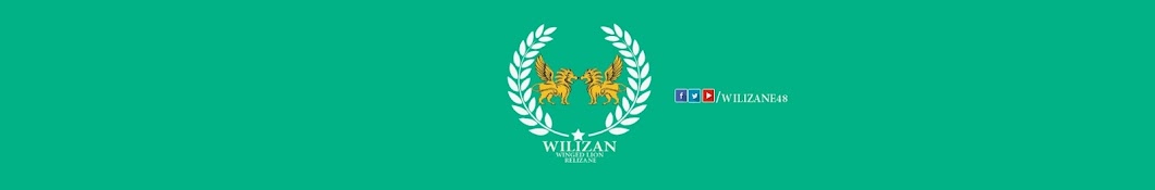 wili Zan YouTube channel avatar