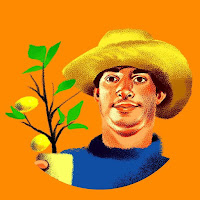 The Urban Rescue Ranch profile image