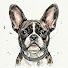 BGc6Er35rq8-channel-avatar-Bouledogue Science