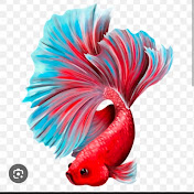 Funny fish