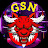 WOT-GSN