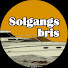 Vq_P5dqOxRU-channel-avatar-SOLGANGSBRIS