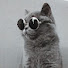 lVg4ifjDvc0-channel-avatar-cody加鸡腿
