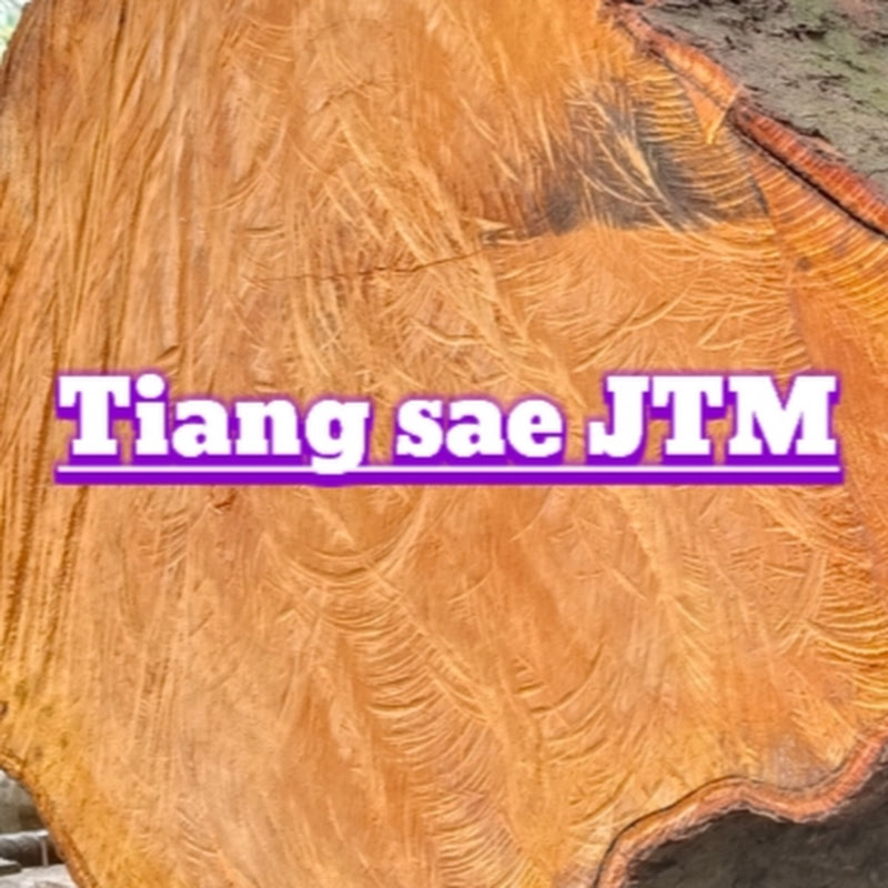 Tiang sae JTM Logo