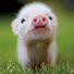 yux9xoo7Nxg-channel-avatar-Jack Does Stuff