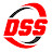 DSS Group Отзывы