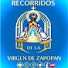 kKn2A5na5Bg-channel-avatar-Recorridos de la  Virgen De Zapopan 