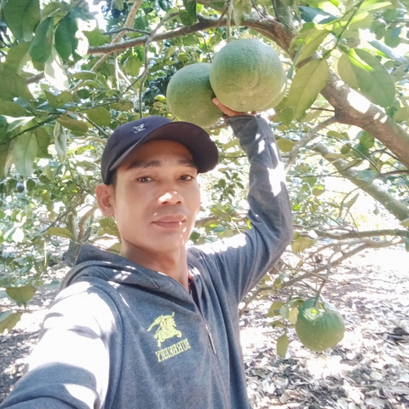 Bừng BĐS Đất Vườn giá rẻ Tân Phú và định quán