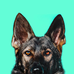 Jade The Sable GSD Channel icon