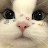 @Nuclear-Nadal's avatar