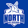 What could North Melbourne FC buy with $100 thousand?