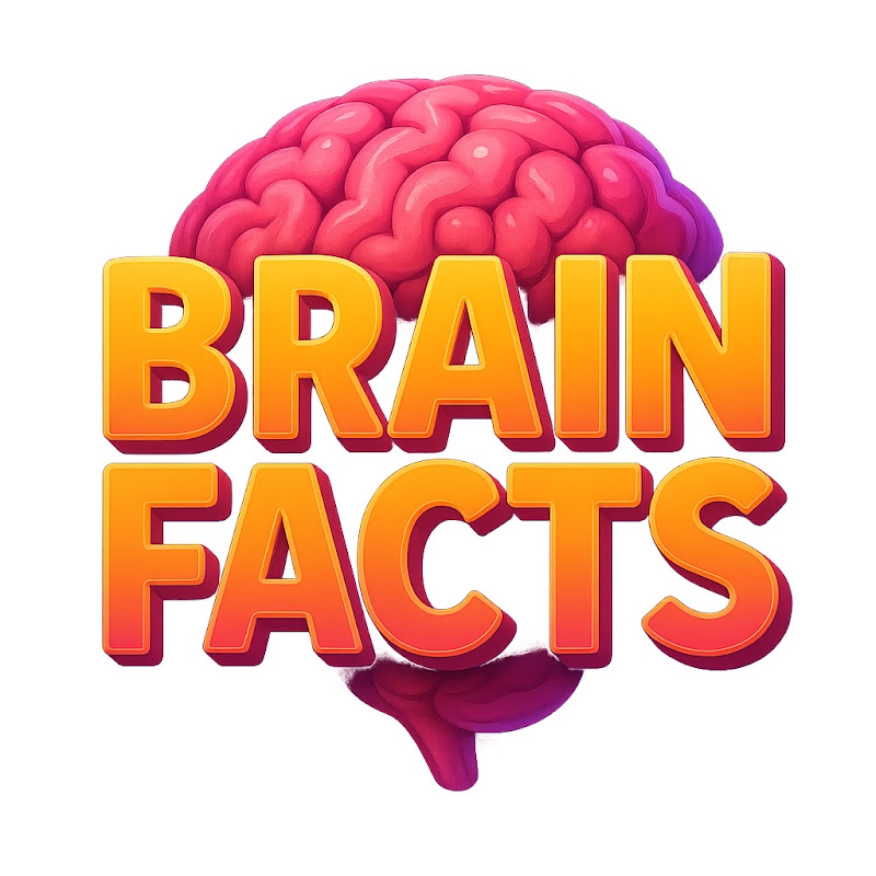 BrainFacts 