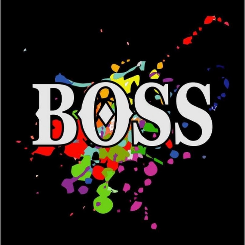 THE BOSS FOODIES 
