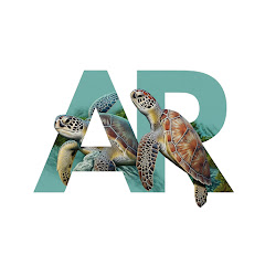 Things To Do In Aruba