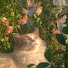 8KsNy8P_mzw-channel-avatar-Samz15