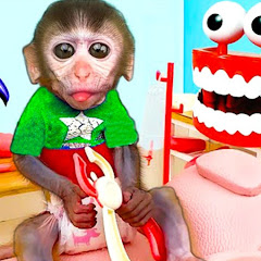 chuk chuk Animal HT