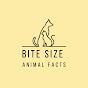 Bite Size Animal Facts logo