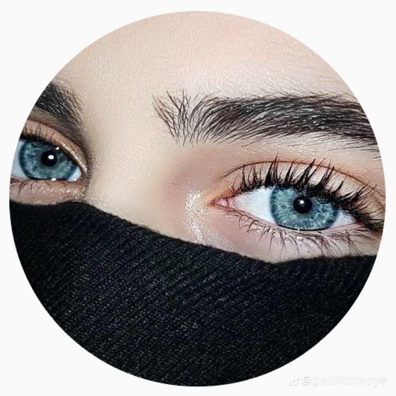 hecho inteligente Intalegent