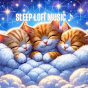 Sleep Lofi Music