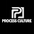 @ProcessCultureCoPodcast's avatar