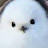 @baepse