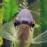 zzdymqYnzL8-channel-avatar-Lindsay's Tanks