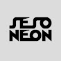 새소년 SE SO NEON