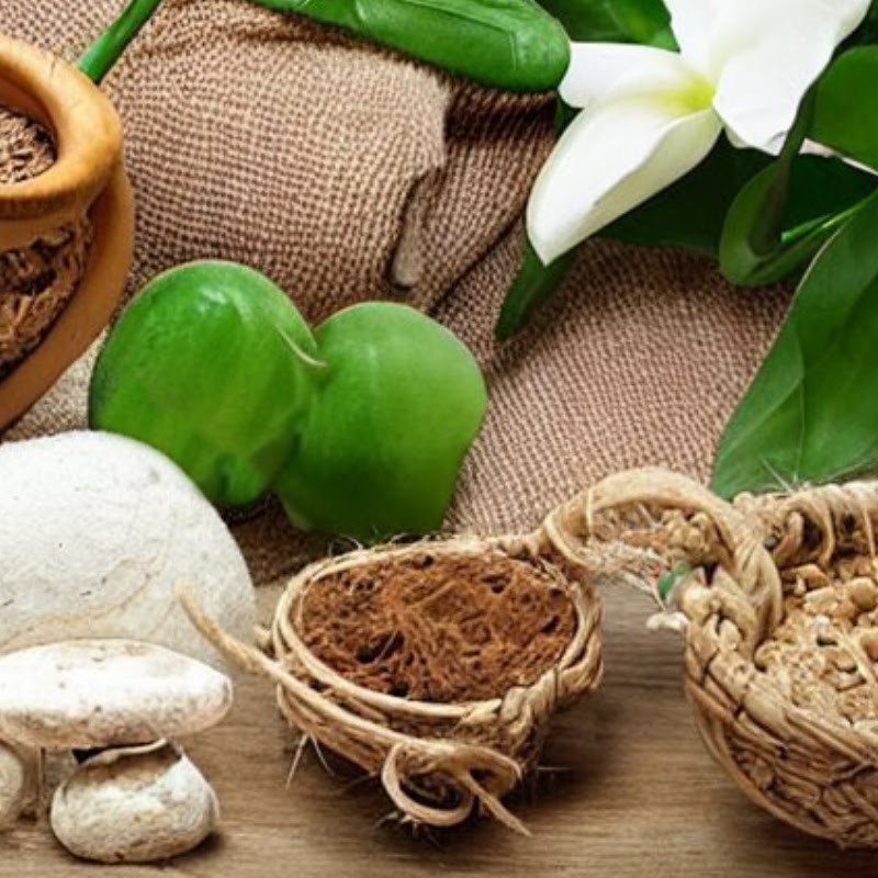 The Natural Health & Wellbeing Hub