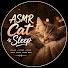 Ys5Y9QXKHno-channel-avatar-ASMR Cat Sleep