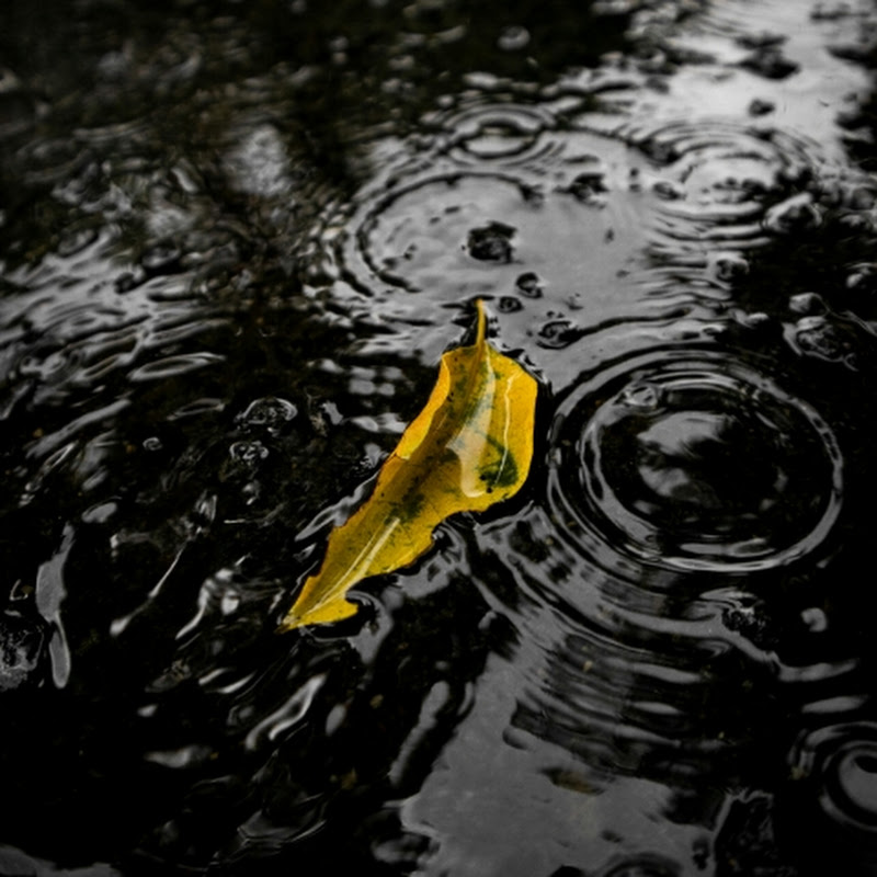Rain Vibes PH