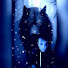 eaZqN4yoWuQ-channel-avatar-ZachBlackWolf99