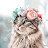 @Hazel_20000