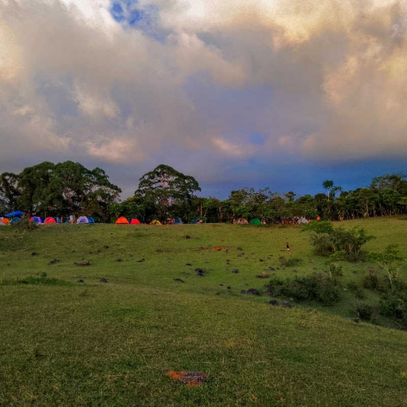 LITTLE ONE MAN BAND 🎹 CJ 🎹 BILIRAN