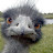 @dwayneaguiar1148's avatar