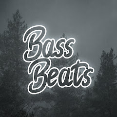 BassBeats net worth