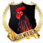 Gallos.Mex.Usa.GIBRAN PEREDA logo
