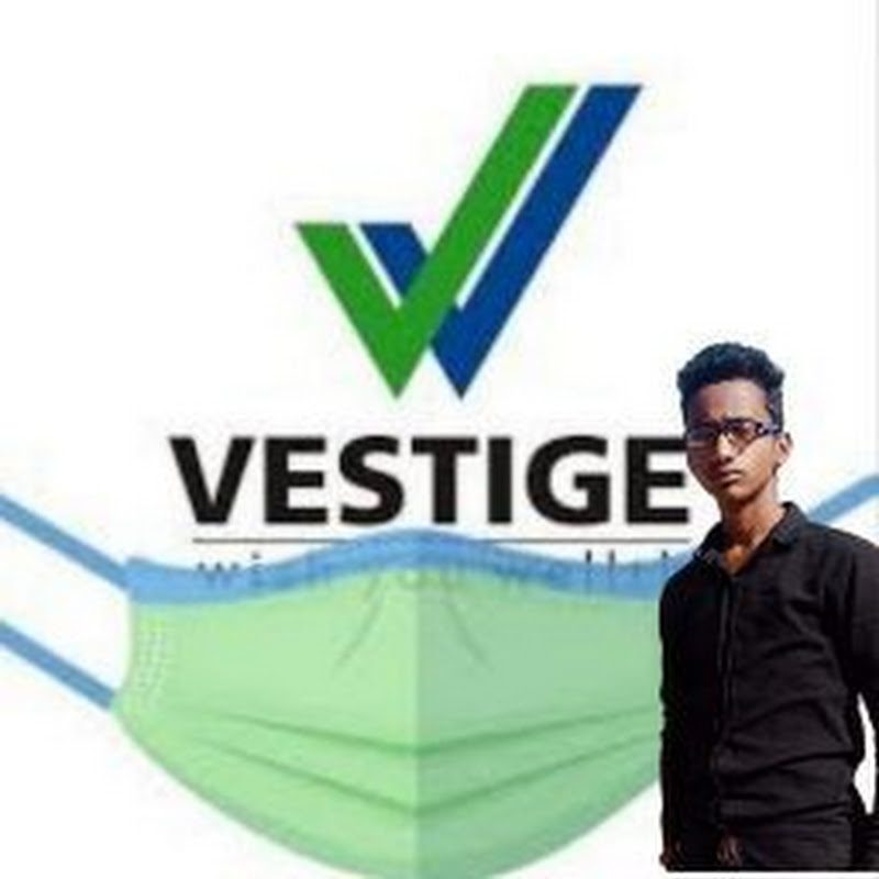 sameer ahamad vestige