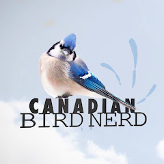 Canadian Bird Nerd Avatar