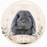 qBBwLQxeVbI-channel-avatar-Rufus The Bunny