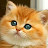 @gogo-sh7fi