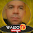 Waldo_TV