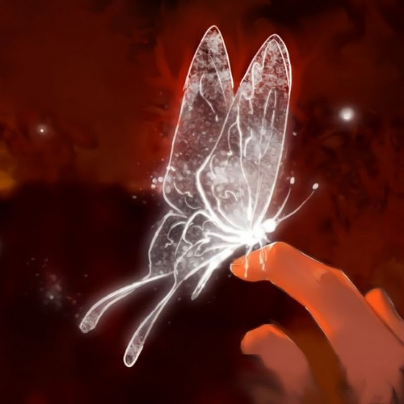 Silver Butterfly 🦋